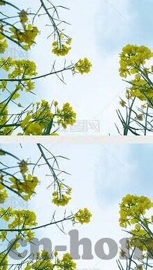大理微信炸金花群-大理微信炸金花群，社交与娱乐的交汇点