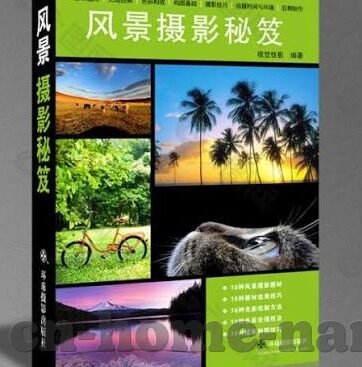 线上德州扑克鱼太多-线上德州扑克，鱼群涌动下的策略与智慧